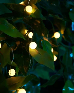 WeRChristmas 80 Pastel Warm White Micro LED Berry Lights, 2.4 M