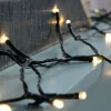 WeRChristmas Battery Operated Multi-Function 100 LED Light String With Timer, Warm White