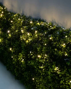 WeRChristmas Battery Operated Multi-Function 100 LED Light String With Timer, Warm White