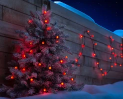 WeRChristmas Berry Multi-Function 100 LED Connectable Light String, Bright Red