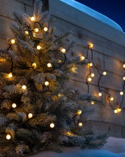 WeRChristmas Connectable Berry 50 LED Light String, Warm White
