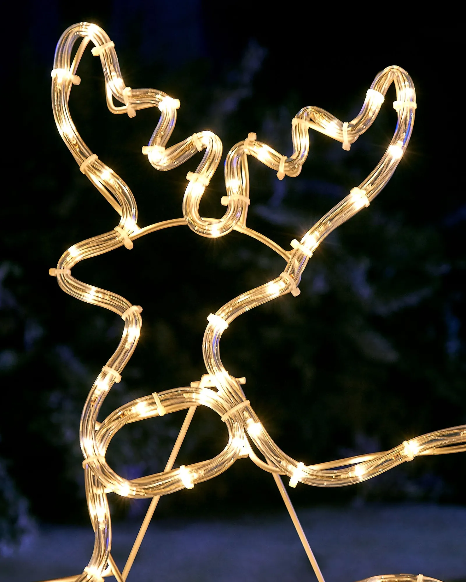 WeRChristmas 2D Reindeer LED Rope Light Silhouette, 60 Cm