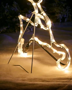 WeRChristmas 2D Reindeer LED Rope Light Silhouette, 60 Cm