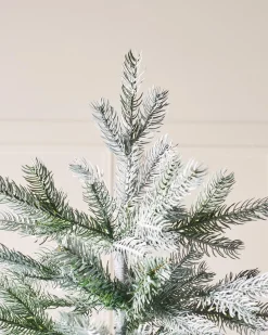 WeRChristmas Frosted Siberian Mixed Pine Christmas Tree, 7 Ft
