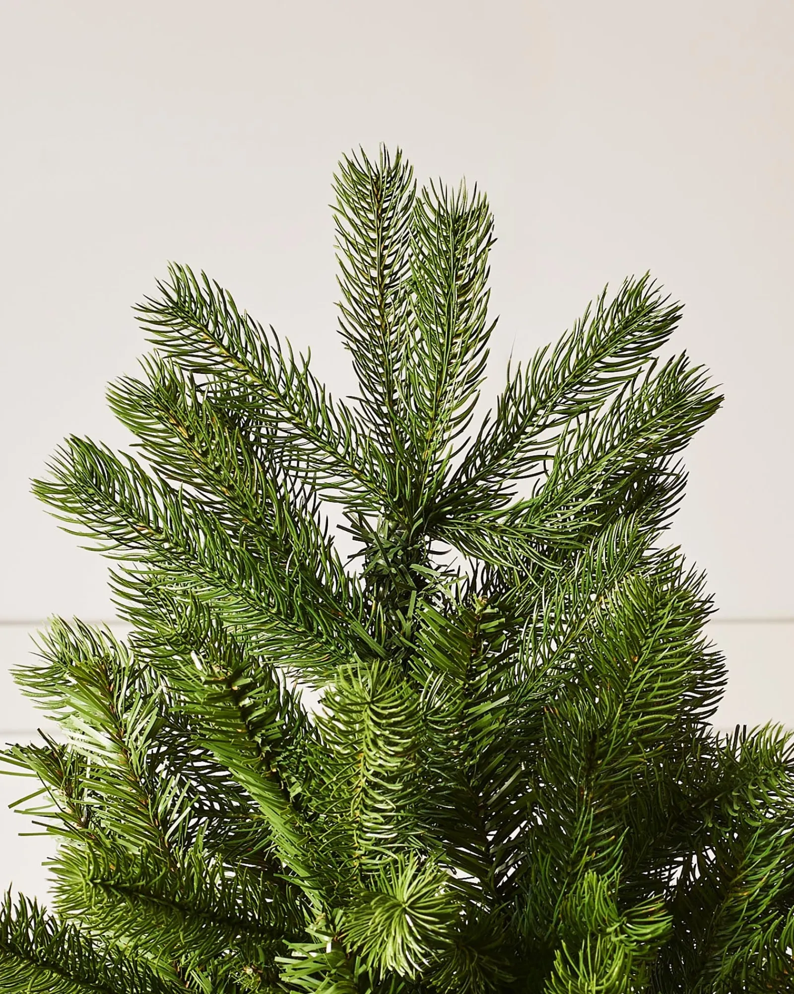 WeRChristmas Large Mixed Pine Christmas Tree, 8 Ft