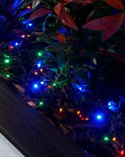 WeRChristmas LINK PRO LED Cluster Lights, Black Cable, Multi Colour