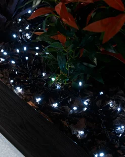 WeRChristmas LINK PRO LED Cluster Lights, Black Cable, White