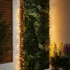 WeRChristmas LINK PRO LED Cluster Lights, Black Cable, Warm White