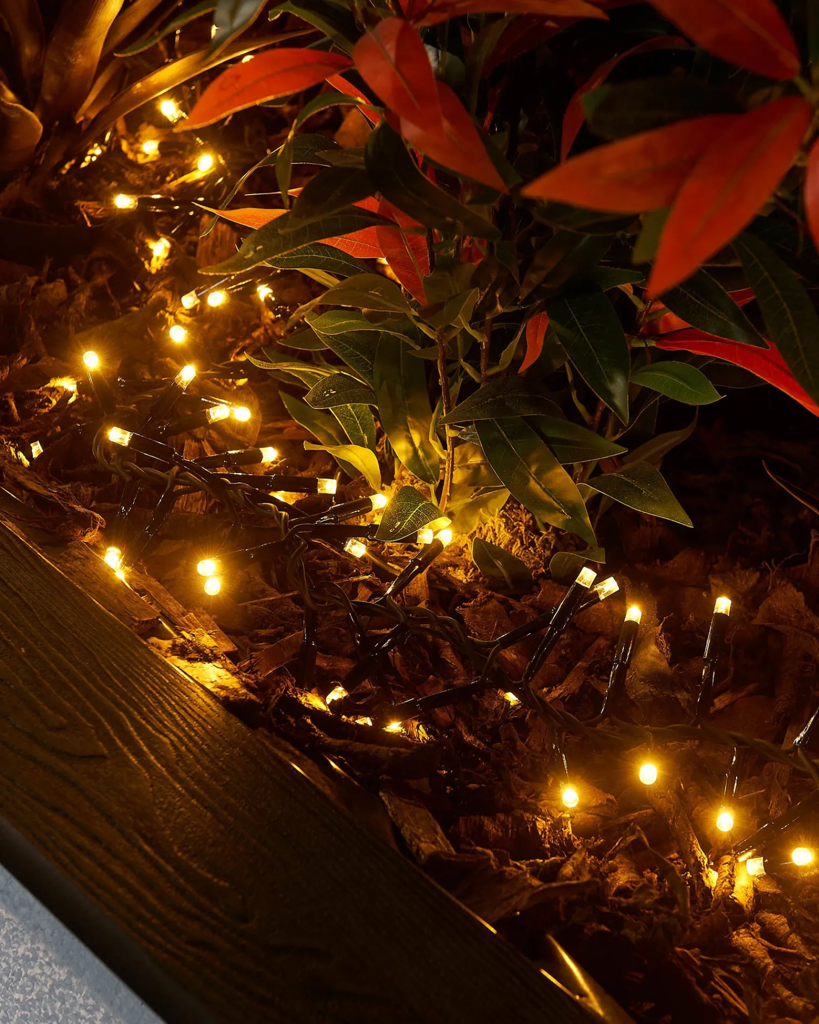 WeRChristmas LINK PRO LED Cluster Lights, Black Cable, Warm White