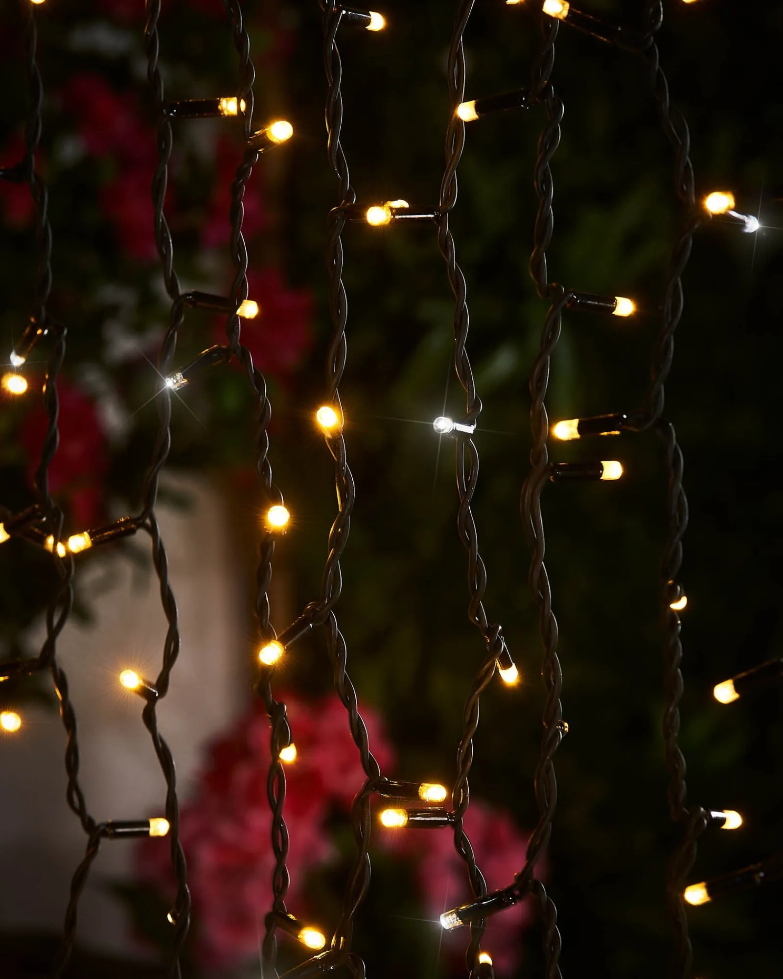 WeRChristmas LINK PRO LED Curtain Lights, Black Cable, 2.5 M Drop, Warm White / White