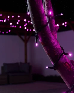 WeRChristmas LINK PRO LED String Lights, Black Cable, Pink