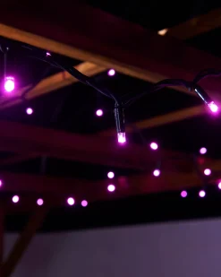 WeRChristmas LINK PRO LED String Lights, Black Cable, Pink