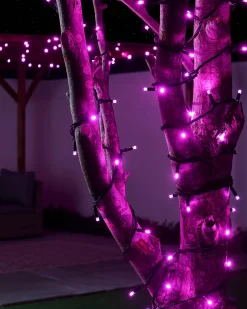WeRChristmas LINK PRO LED String Lights, Black Cable, Pink