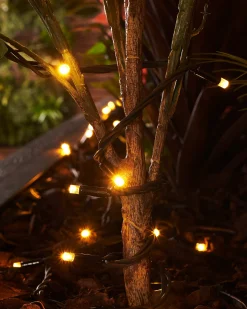 WeRChristmas LINK PRO LED String Lights, Black Cable, Warm White