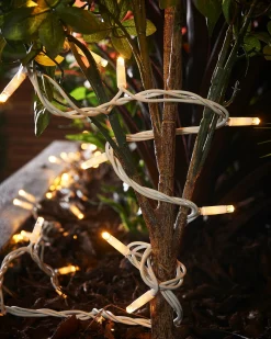 WeRChristmas LINK PRO LED String Lights, White Cable, Warm White