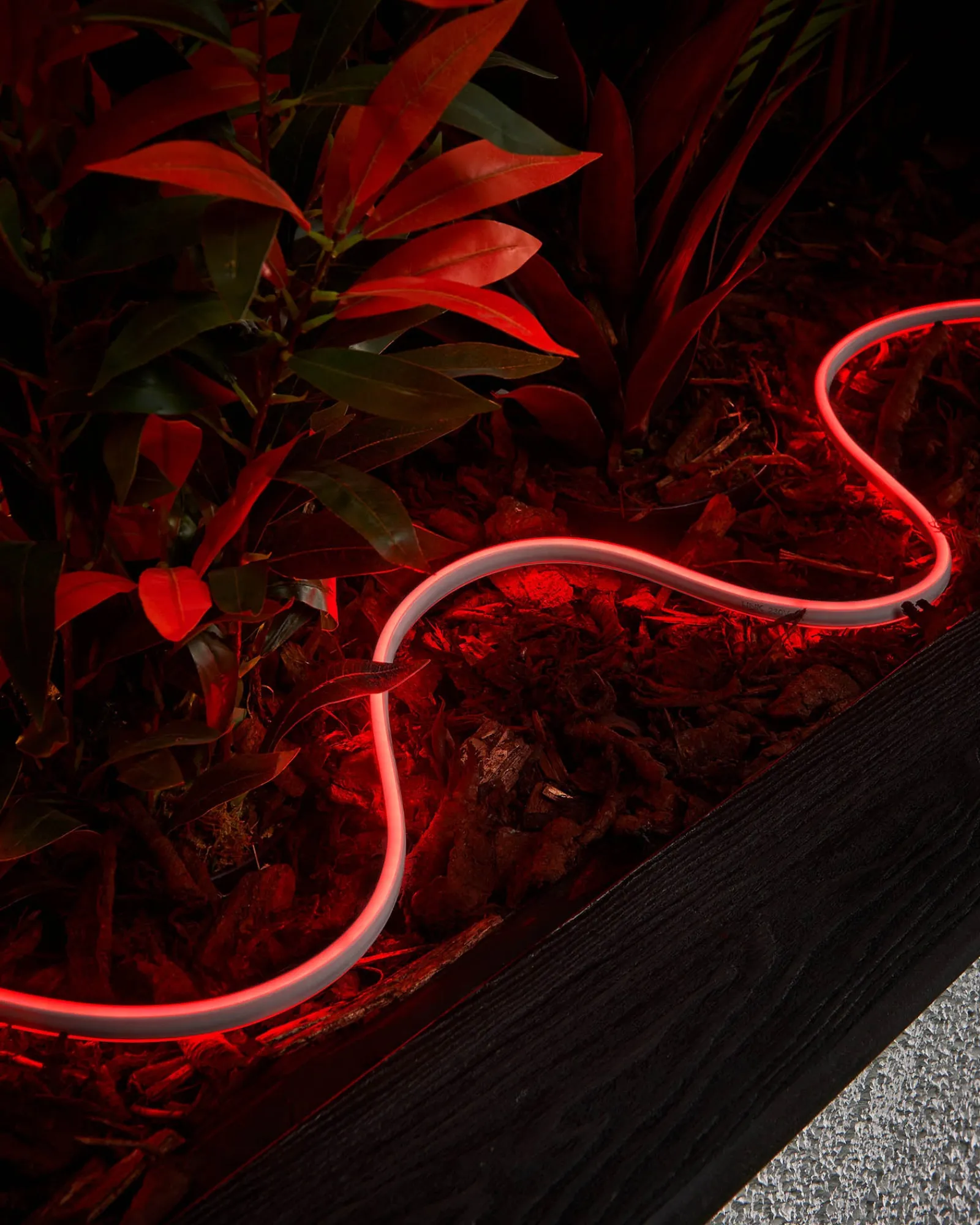 WeRChristmas LINK PRO Neon Flex, Made To Measure, Red
