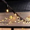 WeRChristmas LINK PRO Twinkle LED String Lights, Black Cable, Warm White
