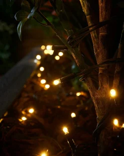 WeRChristmas LINK PRO Twinkle LED String Lights, Black Cable, Warm White / White