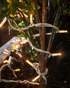 WeRChristmas LINK PRO Twinkle LED String Lights, White Cable, Warm White