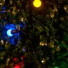 WeRChristmas LINK UP LED Berry Lights, Black Cable, Multi Colour