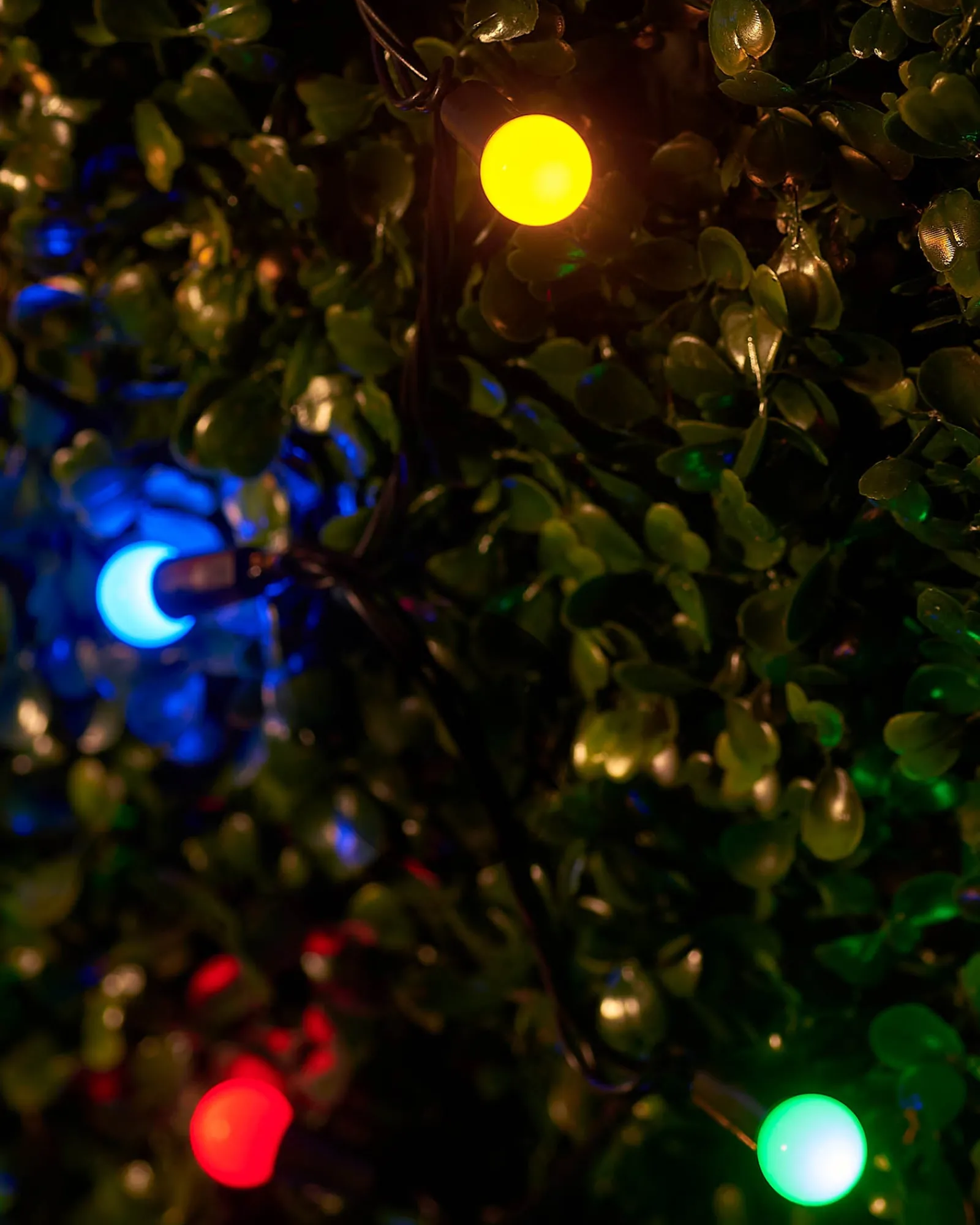 WeRChristmas LINK UP LED Berry Lights, Black Cable, Multi Colour