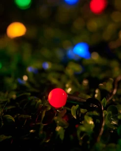 WeRChristmas LINK UP LED Berry Lights, Black Cable, Multi Colour