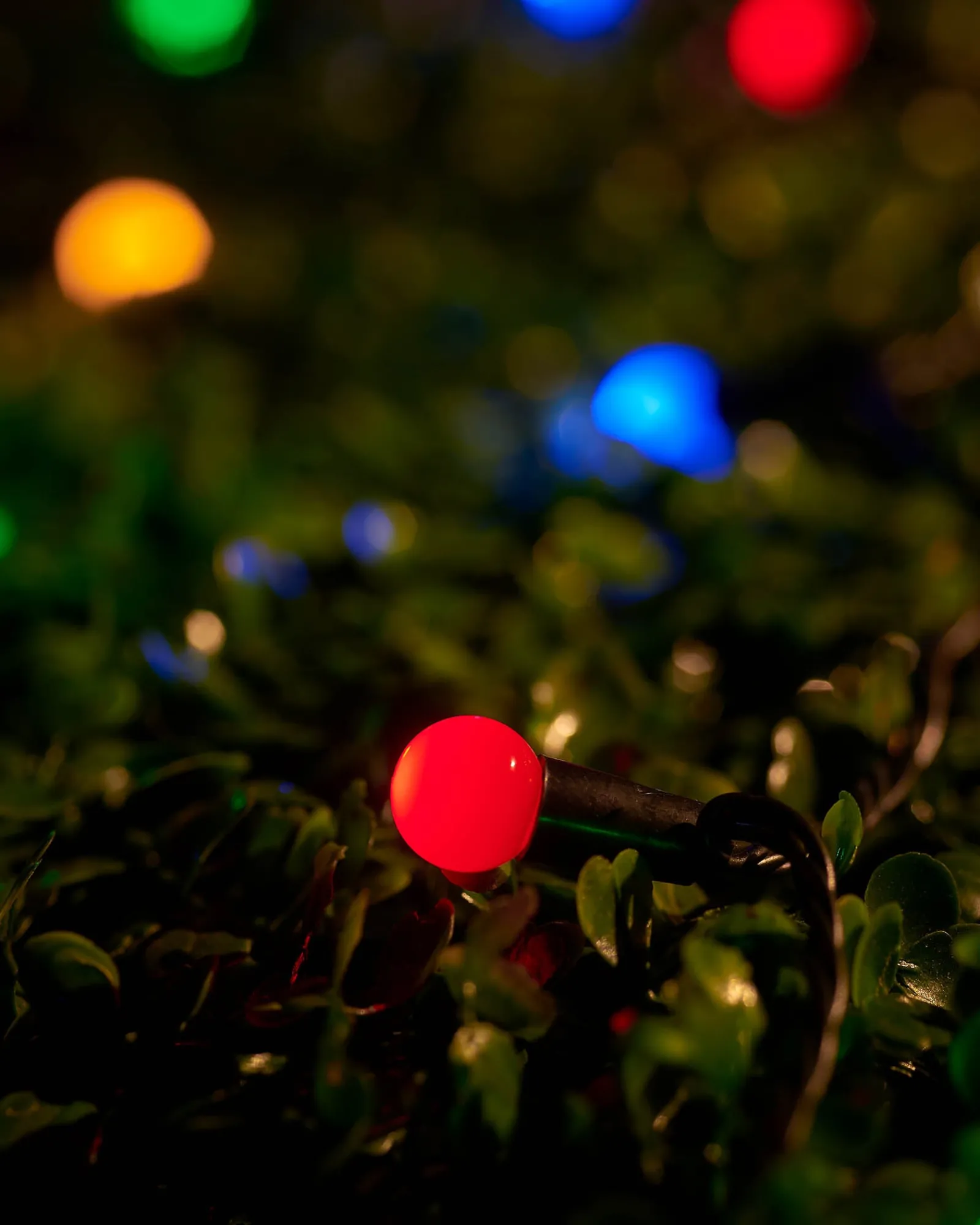 WeRChristmas LINK UP LED Berry Lights, Black Cable, Multi Colour