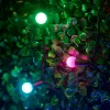 WeRChristmas LINK UP LED Berry Lights, Black Cable, Pastel Multi Colour