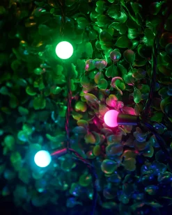 WeRChristmas LINK UP LED Berry Lights, Black Cable, Pastel Multi Colour