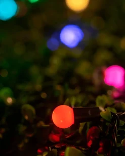 WeRChristmas LINK UP LED Berry Lights, Black Cable, Pastel Multi Colour