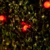WeRChristmas LINK UP LED Berry Lights, Black Cable, Red