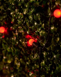 WeRChristmas LINK UP LED Berry Lights, Black Cable, Red