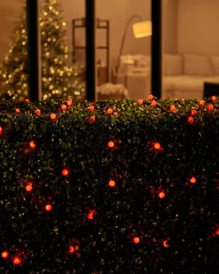 WeRChristmas LINK UP LED Berry Lights, Black Cable, Red