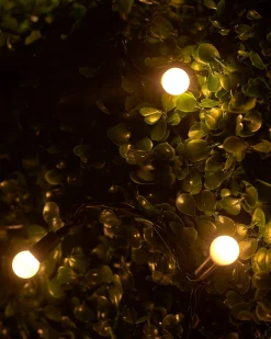 WeRChristmas LINK UP LED Berry Lights, Black Cable, Warm White