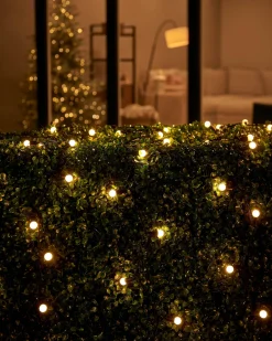 WeRChristmas LINK UP LED Berry Lights, Black Cable, Warm White