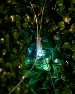 WeRChristmas LINK UP LED Net Lights, 3 M X 3 M, White