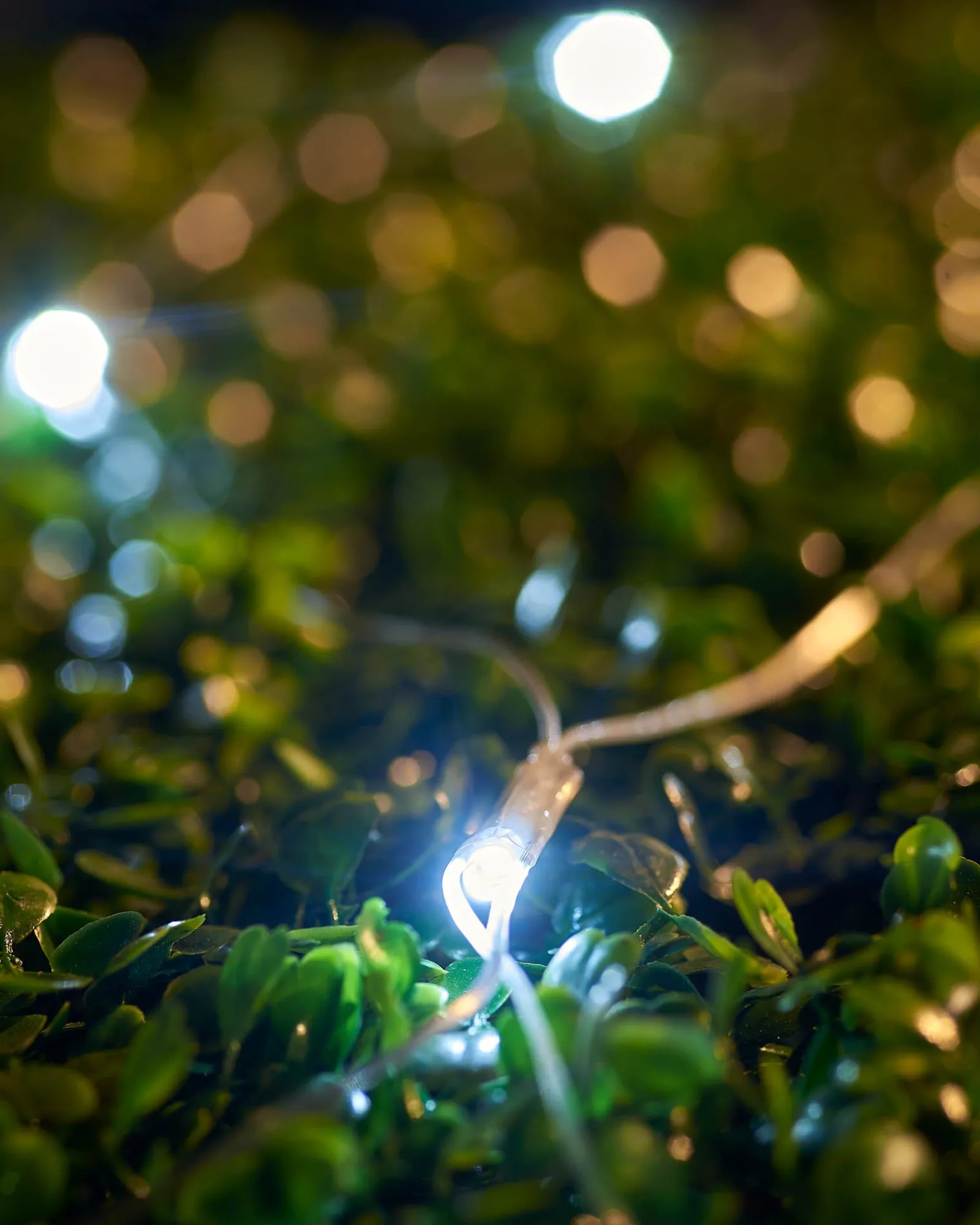 WeRChristmas LINK UP LED Net Lights, 3 M X 3 M, White