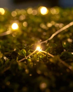 WeRChristmas LINK UP LED Net Lights, 2 M X 2 M, Warm White