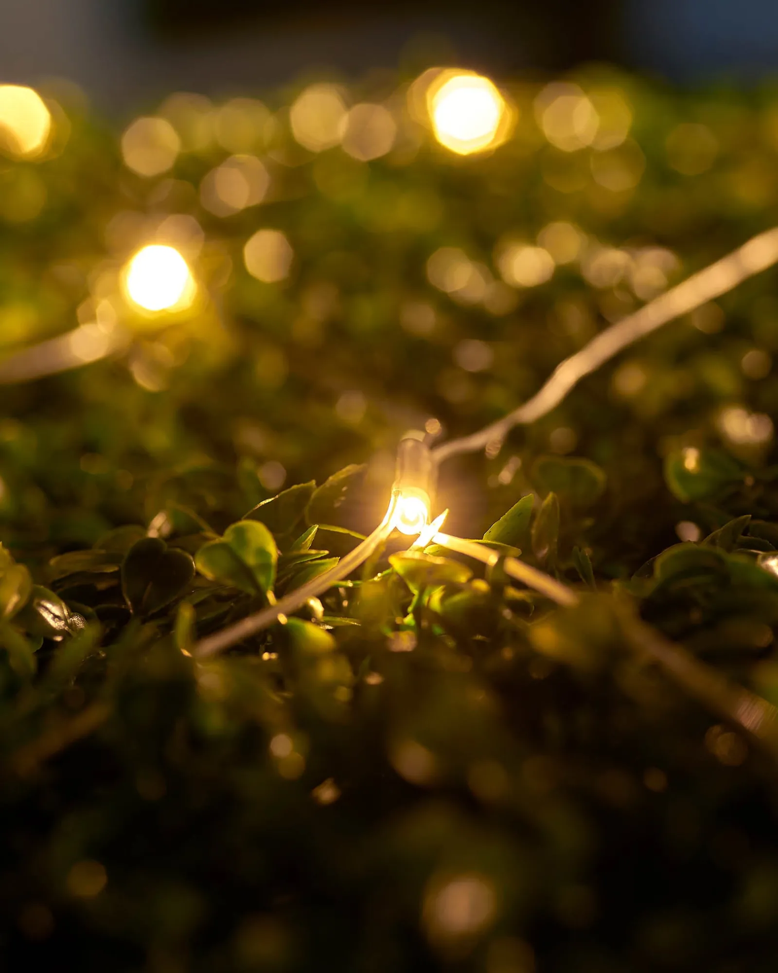 WeRChristmas LINK UP LED Net Lights, 2 M X 2 M, Warm White