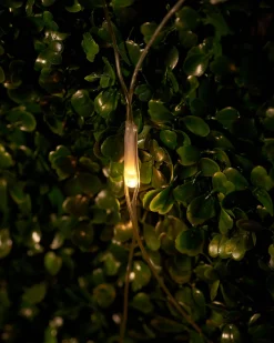 WeRChristmas LINK UP LED Net Lights, 2 M X 2 M, Warm White