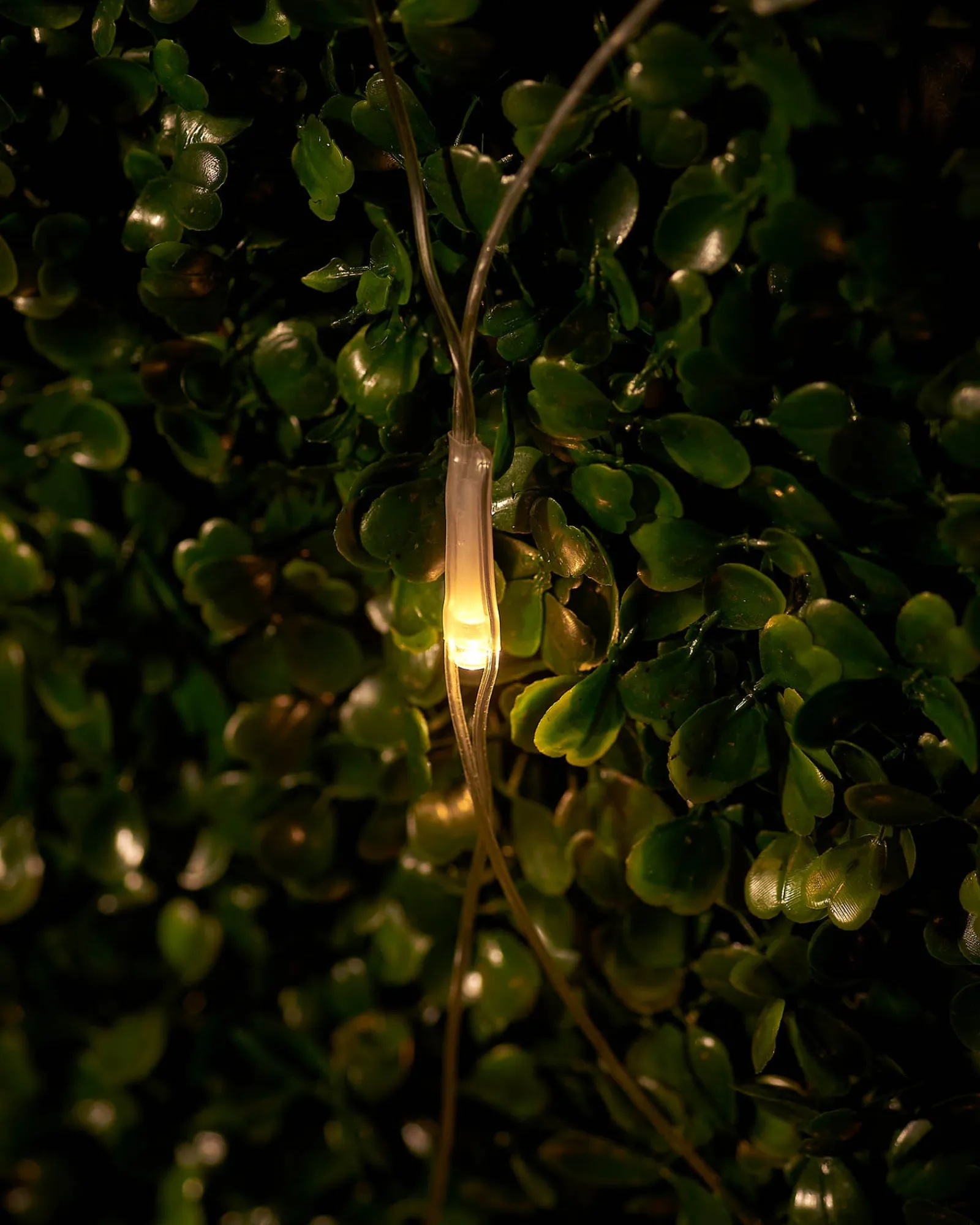 WeRChristmas LINK UP LED Net Lights, 2 M X 2 M, Warm White