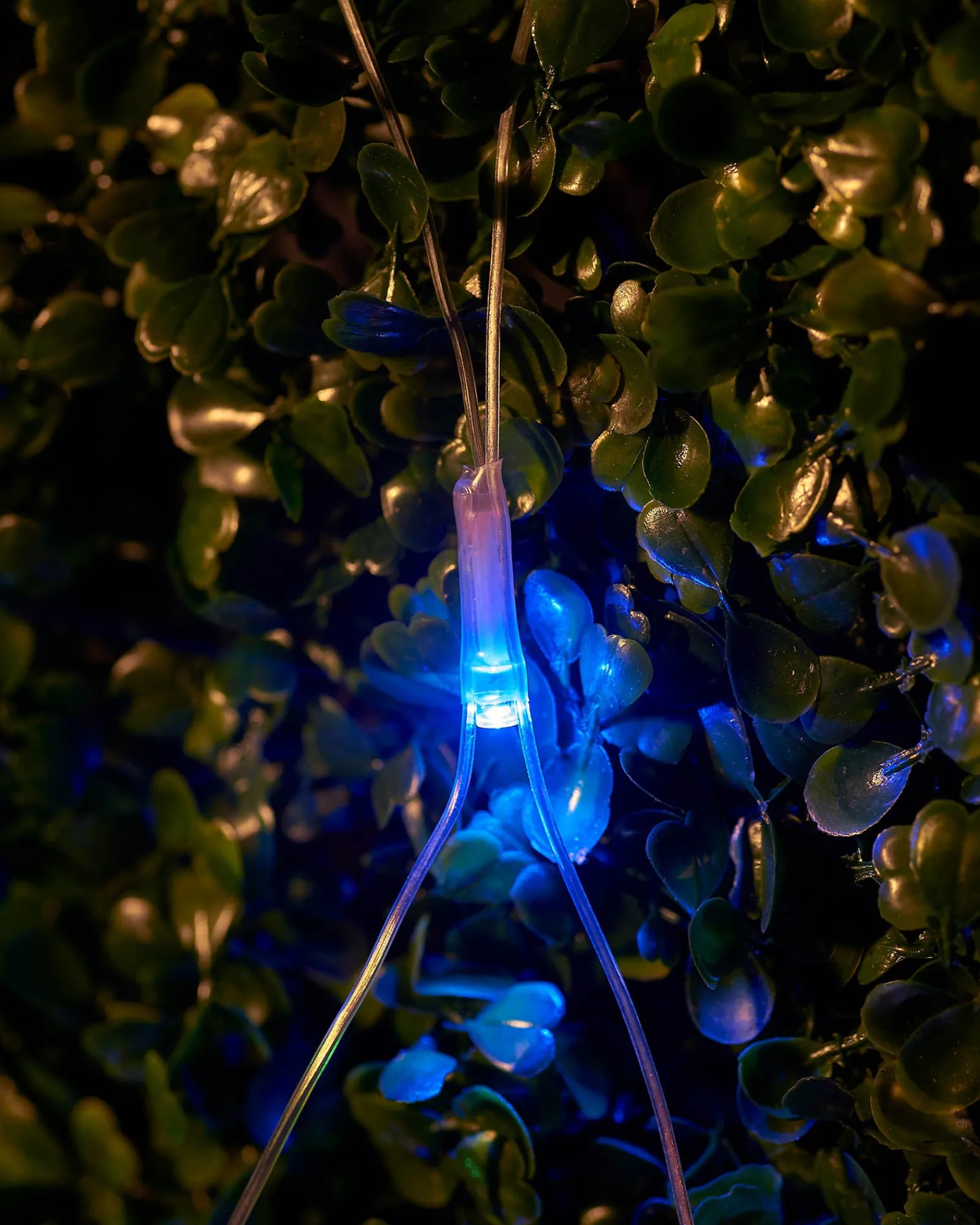 WeRChristmas LINK UP LED Net Lights, 2 M X 2 M, Multi Colour