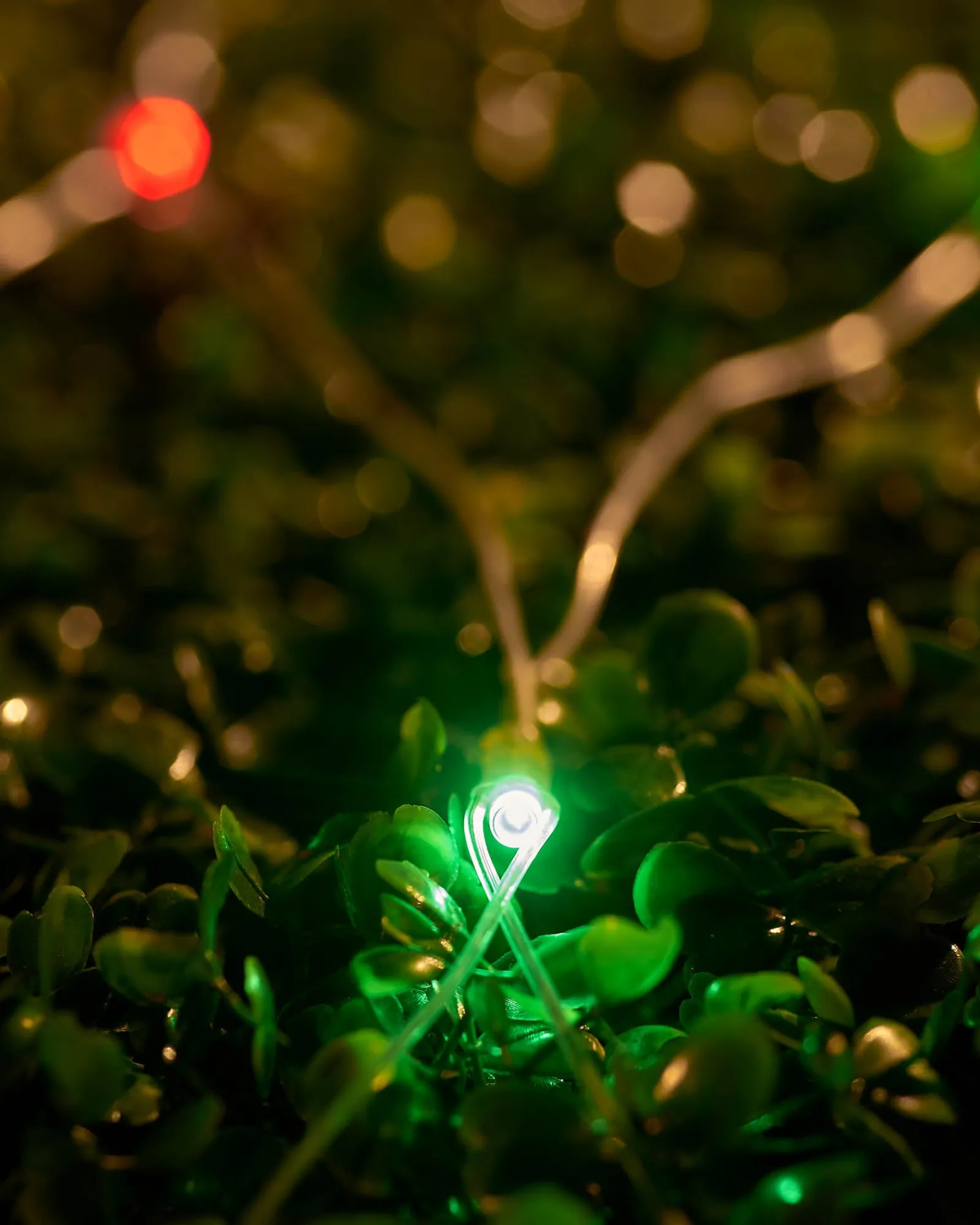 WeRChristmas LINK UP LED Net Lights, 2 M X 2 M, Multi Colour