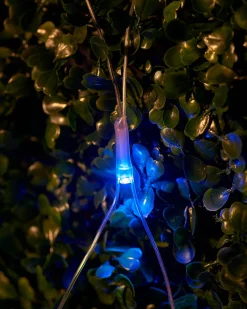 WeRChristmas LINK UP LED Net Lights, 2 M X 2 M, Multi Colour
