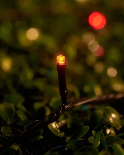 WeRChristmas LINK UP LED String Lights, Black Cable, Autumn Colour