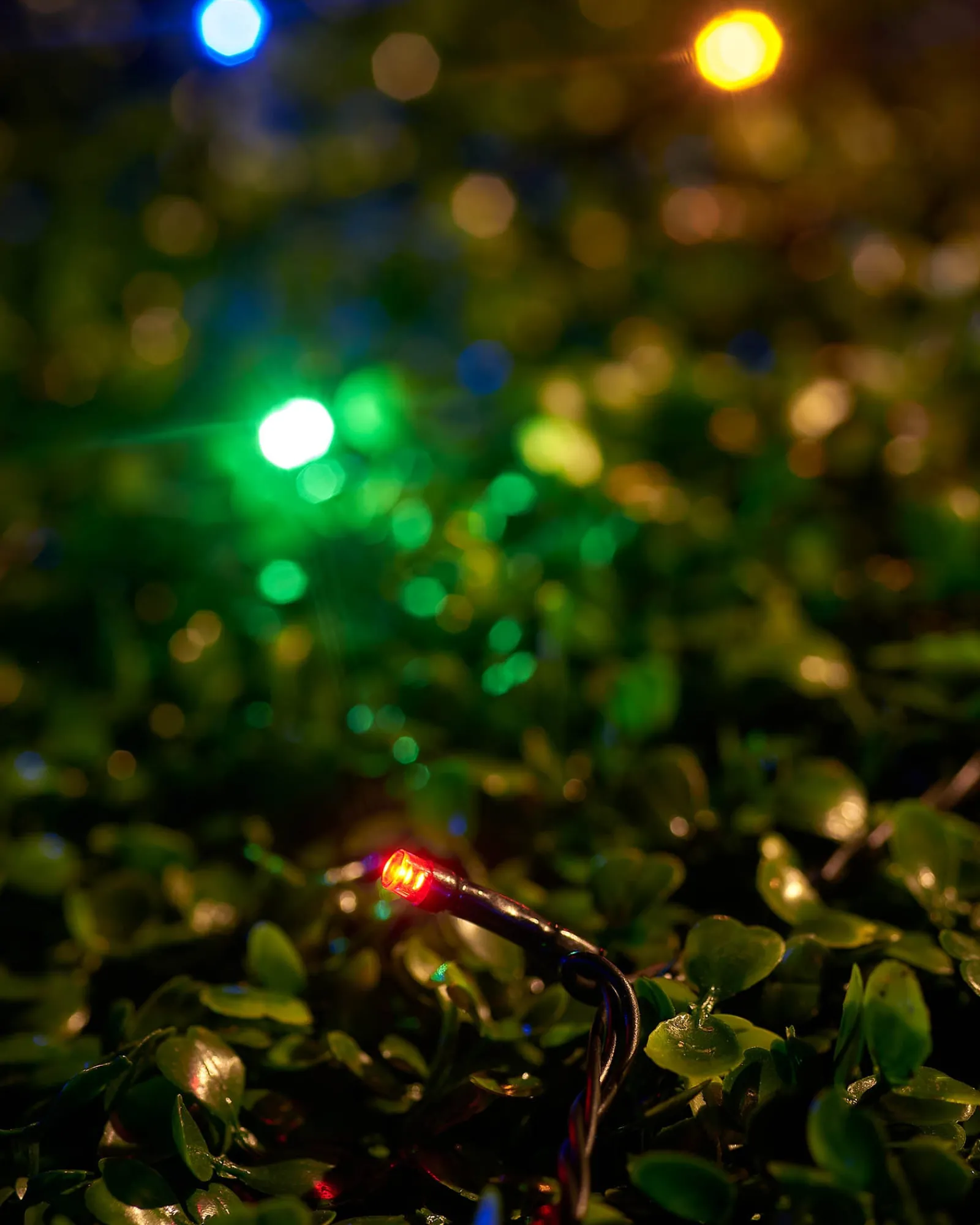 WeRChristmas LINK UP LED String Lights, Black Cable, Multi Colour