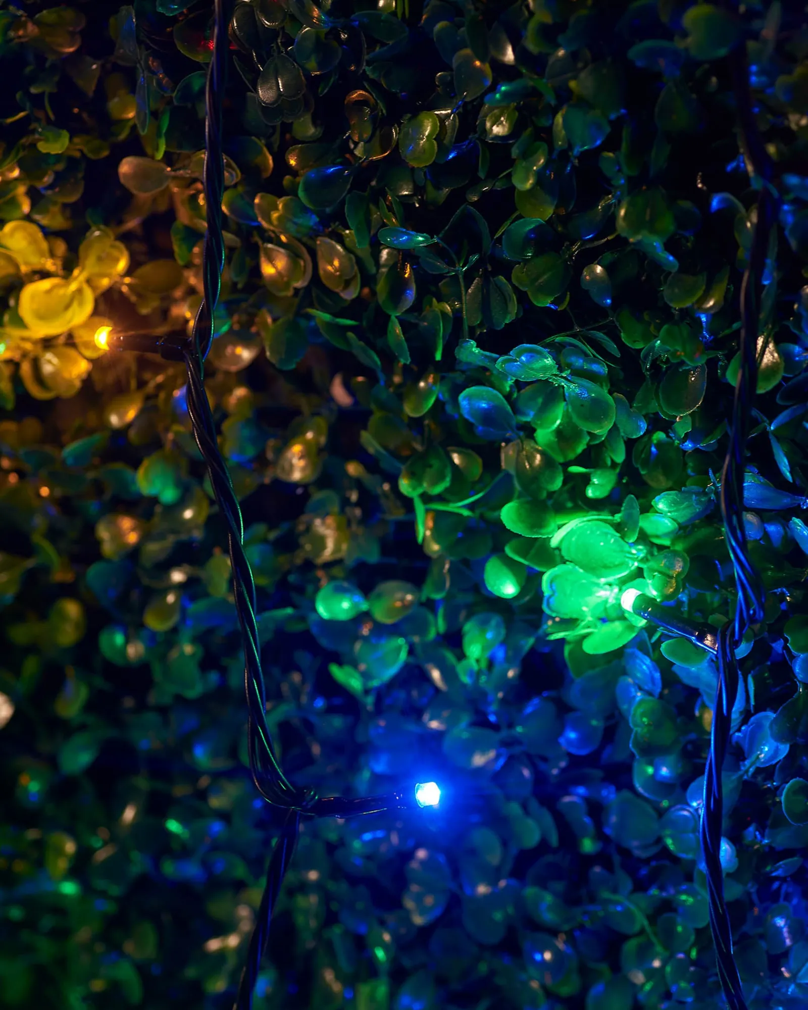WeRChristmas LINK UP LED String Lights, Black Cable, Multi Colour