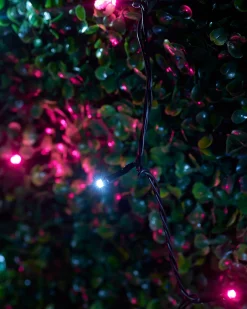 WeRChristmas LINK UP LED String Lights, Black Cable, Pink / White