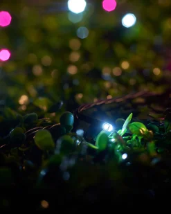 WeRChristmas LINK UP LED String Lights, Black Cable, Pink / White