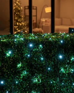 WeRChristmas LINK UP LED String Lights, Black Cable, White
